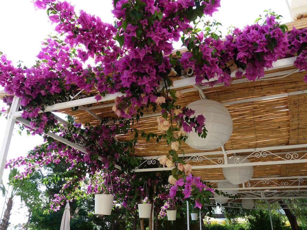 Palmiye Hotel Özdere Exterior foto